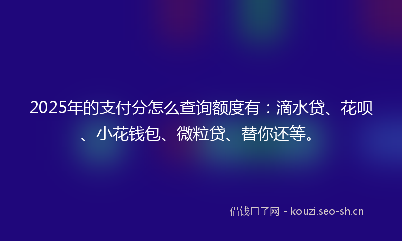 2025年的支付分怎么查询额度有：滴水贷、花呗、小花钱包、微粒贷、替你还等。