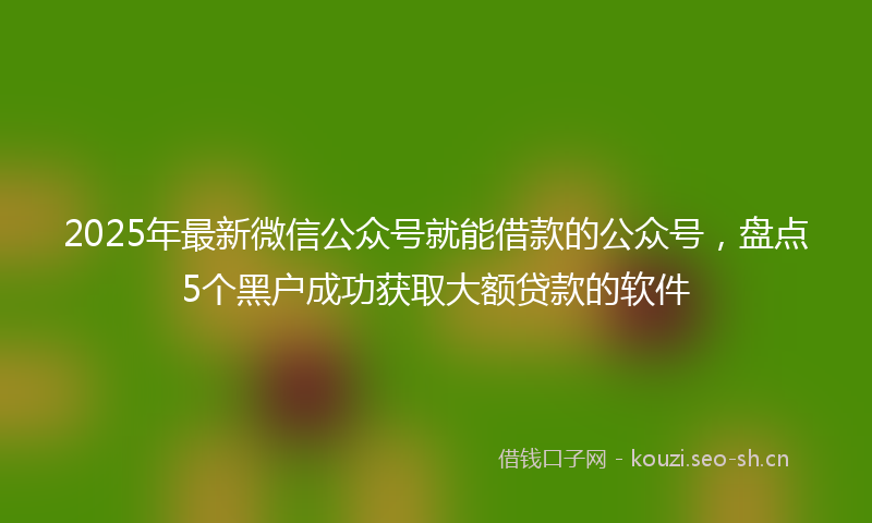 2025年最新微信公众号就能借款的公众号，盘点5个黑户成功获取大额贷款的软件