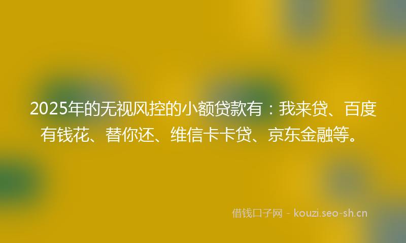 2025年的无视风控的小额贷款有：我来贷、百度有钱花、替你还、维信卡卡贷、京东金融等。
