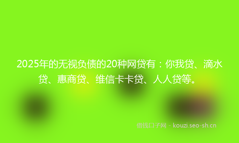 2025年的无视负债的20种网贷有：你我贷、滴水贷、惠商贷、维信卡卡贷、人人贷等。