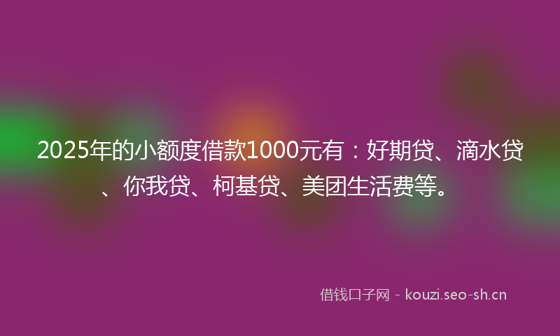 2025年的小额度借款1000元有：好期贷、滴水贷、你我贷、柯基贷、美团生活费等。