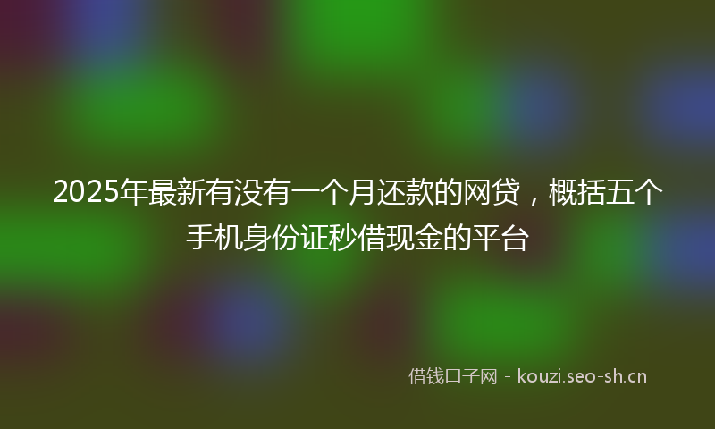 2025年最新有没有一个月还款的网贷，概括五个手机身份证秒借现金的平台