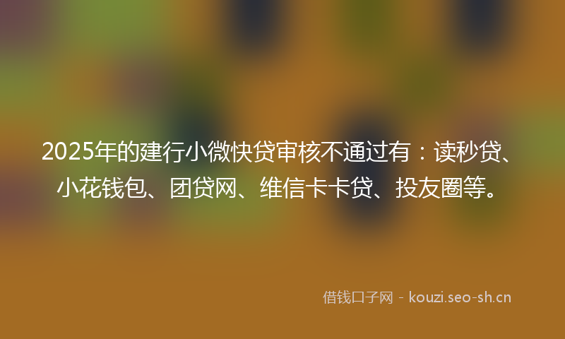 2025年的建行小微快贷审核不通过有：读秒贷、小花钱包、团贷网、维信卡卡贷、投友圈等。