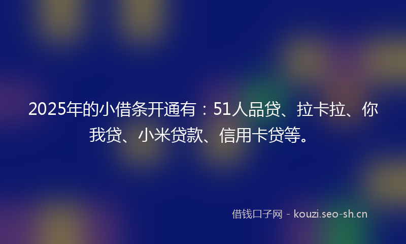 2025年的小借条开通有：51人品贷、拉卡拉、你我贷、小米贷款、信用卡贷等。