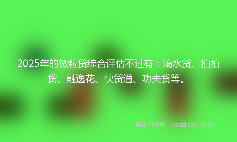 2025年的微粒贷综合评估不过有：滴水贷、拍拍贷、融逸花、快贷通、功夫贷等。