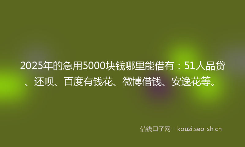 2025年的急用5000块钱哪里能借有：51人品贷、还呗、百度有钱花、微博借钱、安逸花等。