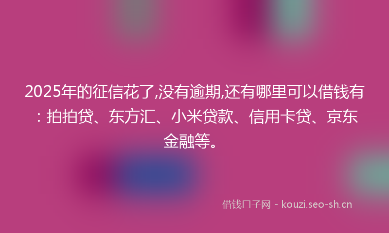 2025年的征信花了,没有逾期,还有哪里可以借钱有：拍拍贷、东方汇、小米贷款、信用卡贷、京东金融等。