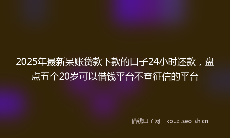 2025年最新呆账贷款下款的口子24小时还款，盘点五个20岁可以借钱平台不查征信的平台