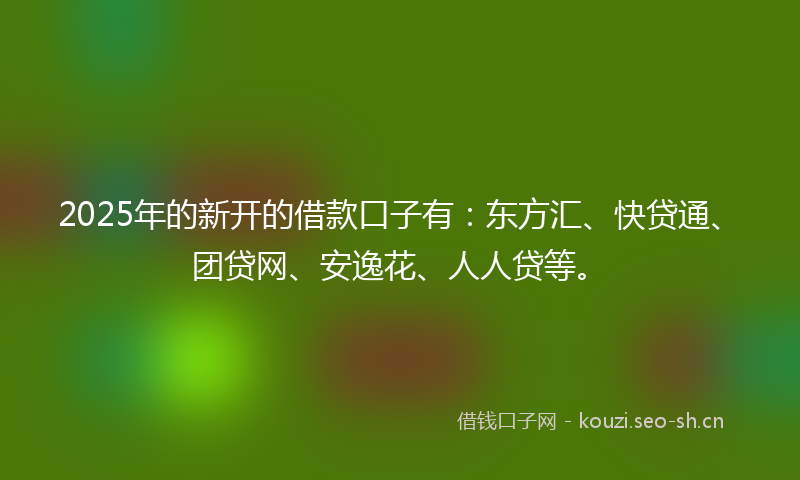 2025年的新开的借款口子有：东方汇、快贷通、团贷网、安逸花、人人贷等。