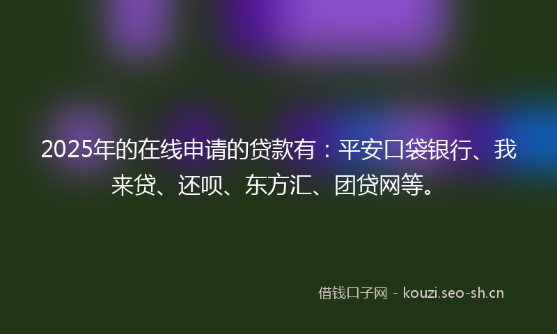 2025年的在线申请的贷款有：平安口袋银行、我来贷、还呗、东方汇、团贷网等。