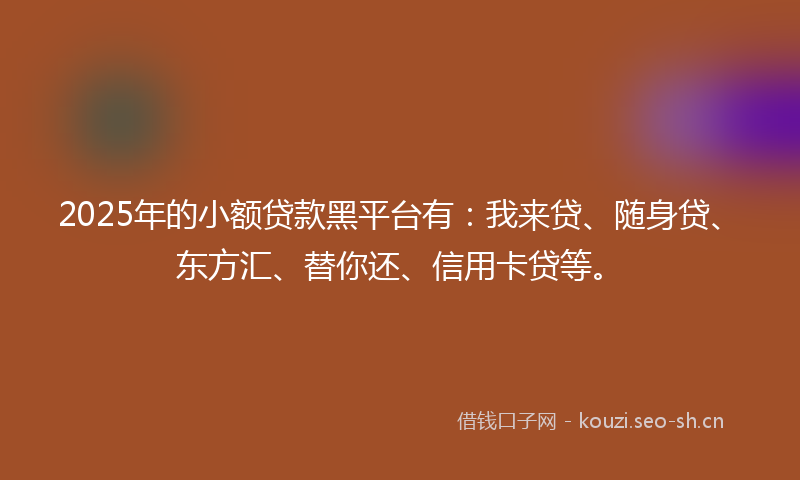 2025年的小额贷款黑平台有：我来贷、随身贷、东方汇、替你还、信用卡贷等。