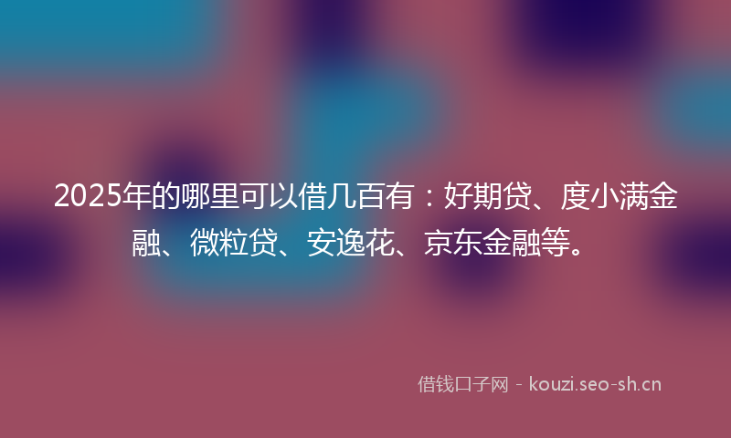 2025年的哪里可以借几百有：好期贷、度小满金融、微粒贷、安逸花、京东金融等。