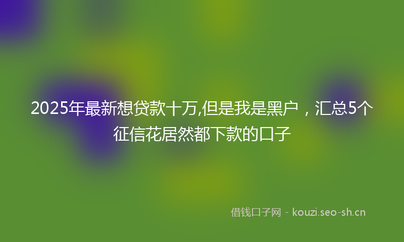 2025年最新想贷款十万,但是我是黑户，汇总5个征信花居然都下款的口子