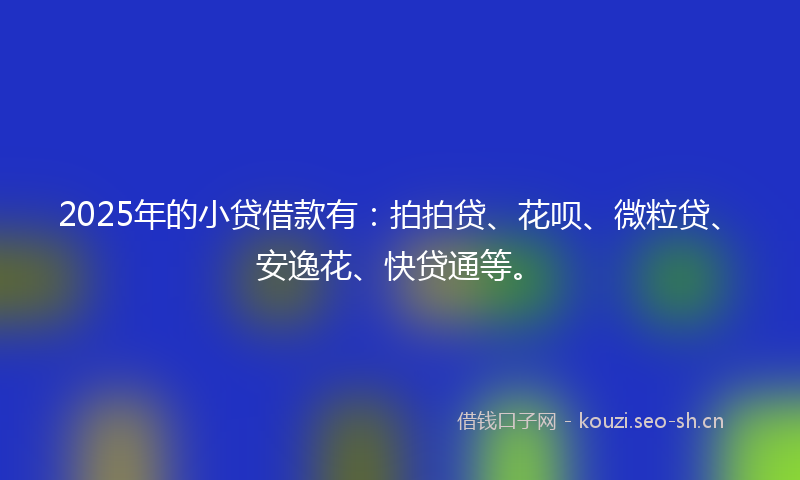 2025年的小贷借款有：拍拍贷、花呗、微粒贷、安逸花、快贷通等。