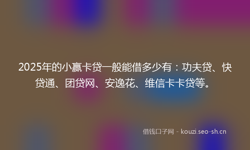 2025年的小赢卡贷一般能借多少有：功夫贷、快贷通、团贷网、安逸花、维信卡卡贷等。
