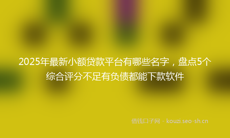 2025年最新小额贷款平台有哪些名字，盘点5个综合评分不足有负债都能下款软件