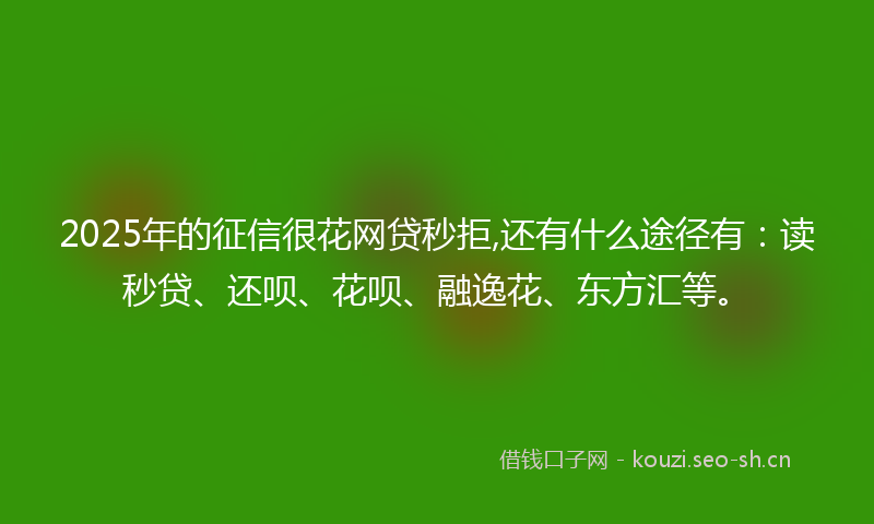 2025年的征信很花网贷秒拒,还有什么途径有:读秒贷、还呗、花呗、融逸花、东方汇等。