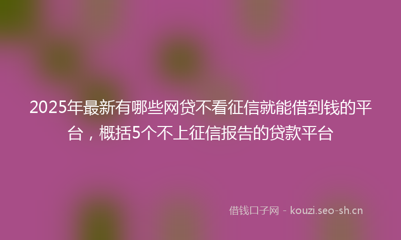 2025年最新有哪些网贷不看征信就能借到钱的平台，概括5个不上征信报告的贷款平台
