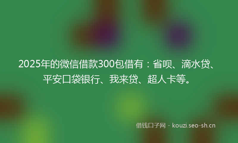 2025年的微信借款300包借有：省呗、滴水贷、平安口袋银行、我来贷、超人卡等。