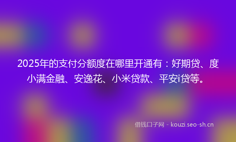 2025年的支付分额度在哪里开通有：好期贷、度小满金融、安逸花、小米贷款、平安i贷等。