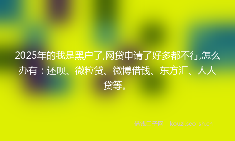 2025年的我是黑户了,网贷申请了好多都不行,怎么办有：还呗、微粒贷、微博借钱、东方汇、人人贷等。