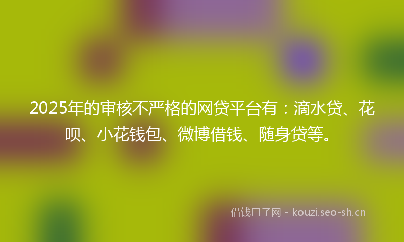 2025年的审核不严格的网贷平台有：滴水贷、花呗、小花钱包、微博借钱、随身贷等。