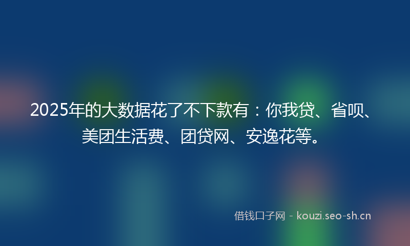2025年的大数据花了不下款有：你我贷、省呗、美团生活费、团贷网、安逸花等。
