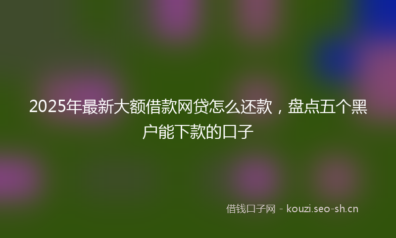 2025年最新大额借款网贷怎么还款，盘点五个黑户能下款的口子
