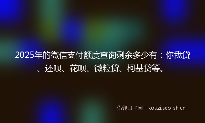 2025年的微信支付额度查询剩余多少有：你我贷、还呗、花呗、微粒贷、柯基贷等。