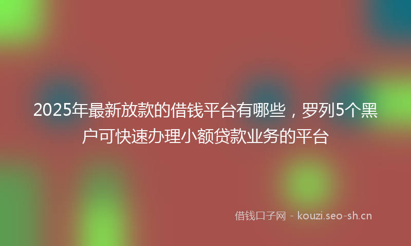 2025年最新放款的借钱平台有哪些，罗列5个黑户可快速办理小额贷款业务的平台
