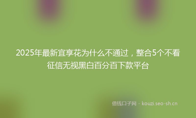 2025年最新宜享花为什么不通过，整合5个不看征信无视黑白百分百下款平台