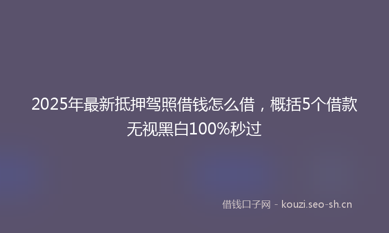2025年最新抵押驾照借钱怎么借，概括5个借款无视黑白100%秒过