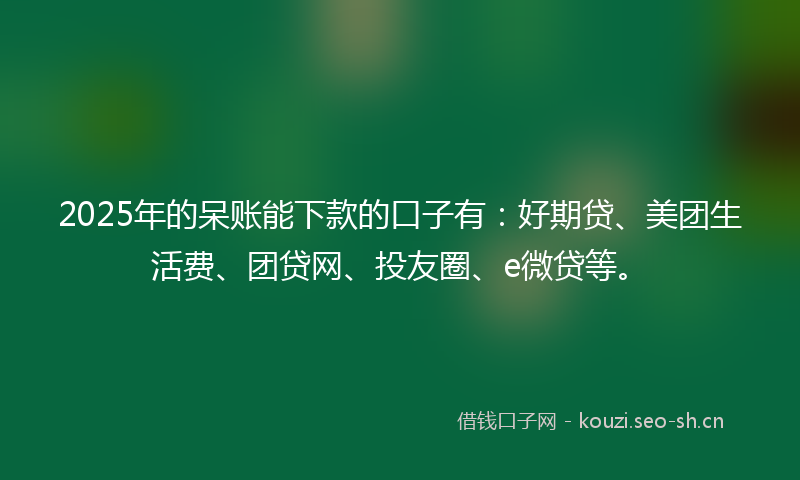 2025年的呆账能下款的口子有：好期贷、美团生活费、团贷网、投友圈、e微贷等。