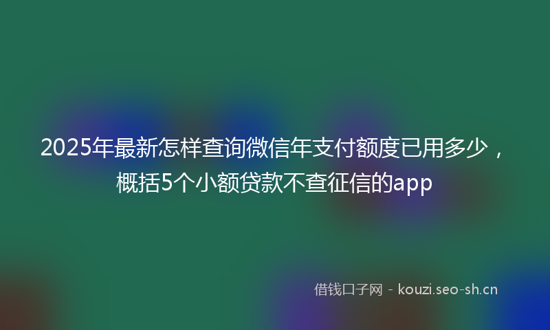2025年最新怎样查询微信年支付额度已用多少，概括5个小额贷款不查征信的app