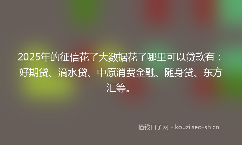 2025年的征信花了大数据花了哪里可以贷款有：好期贷、滴水贷、中原消费金融、随身贷、东方汇等。
