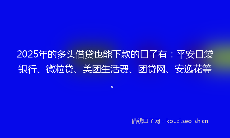 2025年的多头借贷也能下款的口子有:平安口袋银行、微粒贷、美团生活费、团贷网、安逸花等。