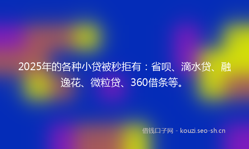 2025年的各种小贷被秒拒有：省呗、滴水贷、融逸花、微粒贷、360借条等。