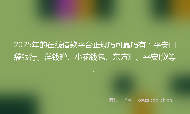 2025年的在线借款平台正规吗可靠吗有：平安口袋银行、洋钱罐、小花钱包、东方汇、平安i贷等。