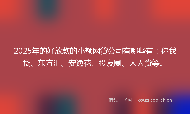 2025年的好放款的小额网贷公司有哪些有：你我贷、东方汇、安逸花、投友圈、人人贷等。