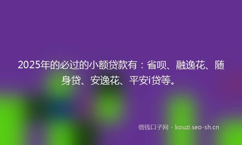 2025年的必过的小额贷款有：省呗、融逸花、随身贷、安逸花、平安i贷等。