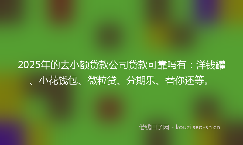 2025年的去小额贷款公司贷款可靠吗有：洋钱罐、小花钱包、微粒贷、分期乐、替你还等。