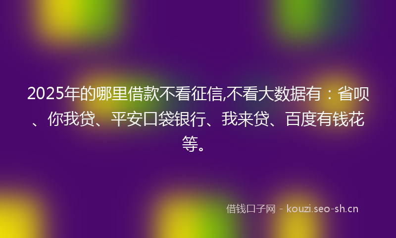 2025年的哪里借款不看征信,不看大数据有：省呗、你我贷、平安口袋银行、我来贷、百度有钱花等。