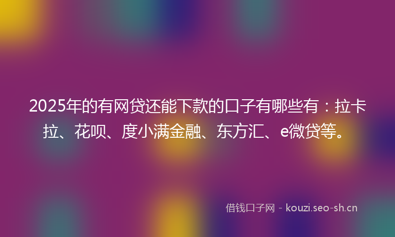 2025年的有网贷还能下款的口子有哪些有：拉卡拉、花呗、度小满金融、东方汇、e微贷等。