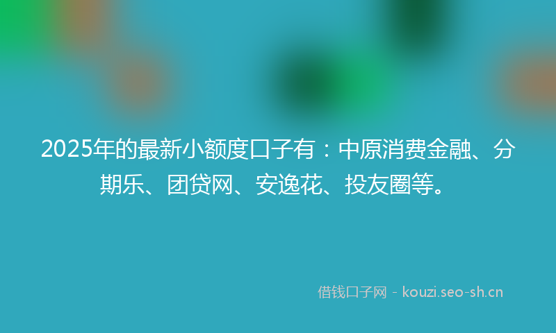 2025年的最新小额度口子有：中原消费金融、分期乐、团贷网、安逸花、投友圈等。