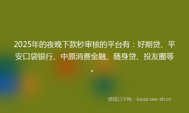 2025年的夜晚下款秒审核的平台有：好期贷、平安口袋银行、中原消费金融、随身贷、投友圈等。