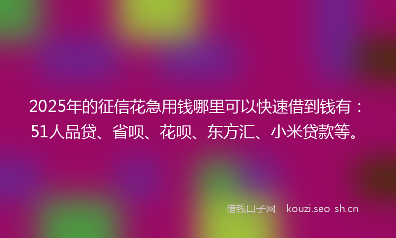 2025年的征信花急用钱哪里可以快速借到钱有：51人品贷、省呗、花呗、东方汇、小米贷款等。