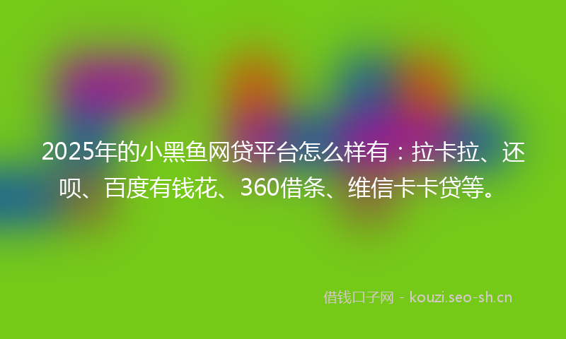 2025年的小黑鱼网贷平台怎么样有：拉卡拉、还呗、百度有钱花、360借条、维信卡卡贷等。
