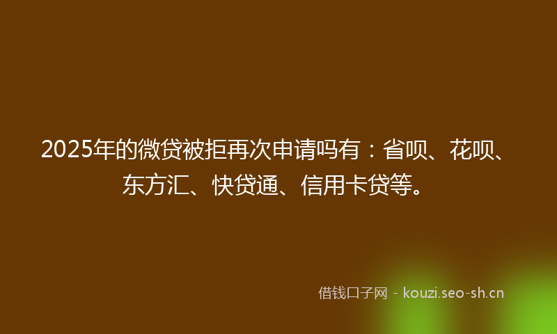 2025年的微贷被拒再次申请吗有：省呗、花呗、东方汇、快贷通、信用卡贷等。