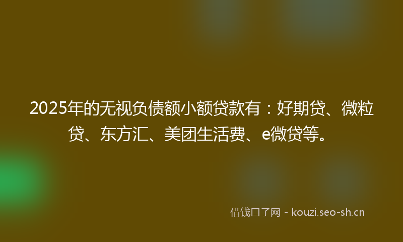 2025年的无视负债额小额贷款有:好期贷、微粒贷、东方汇、美团生活费、e微贷等。