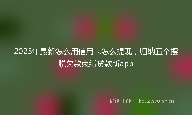 2025年最新怎么用信用卡怎么提现，归纳五个摆脱欠款束缚贷款新app